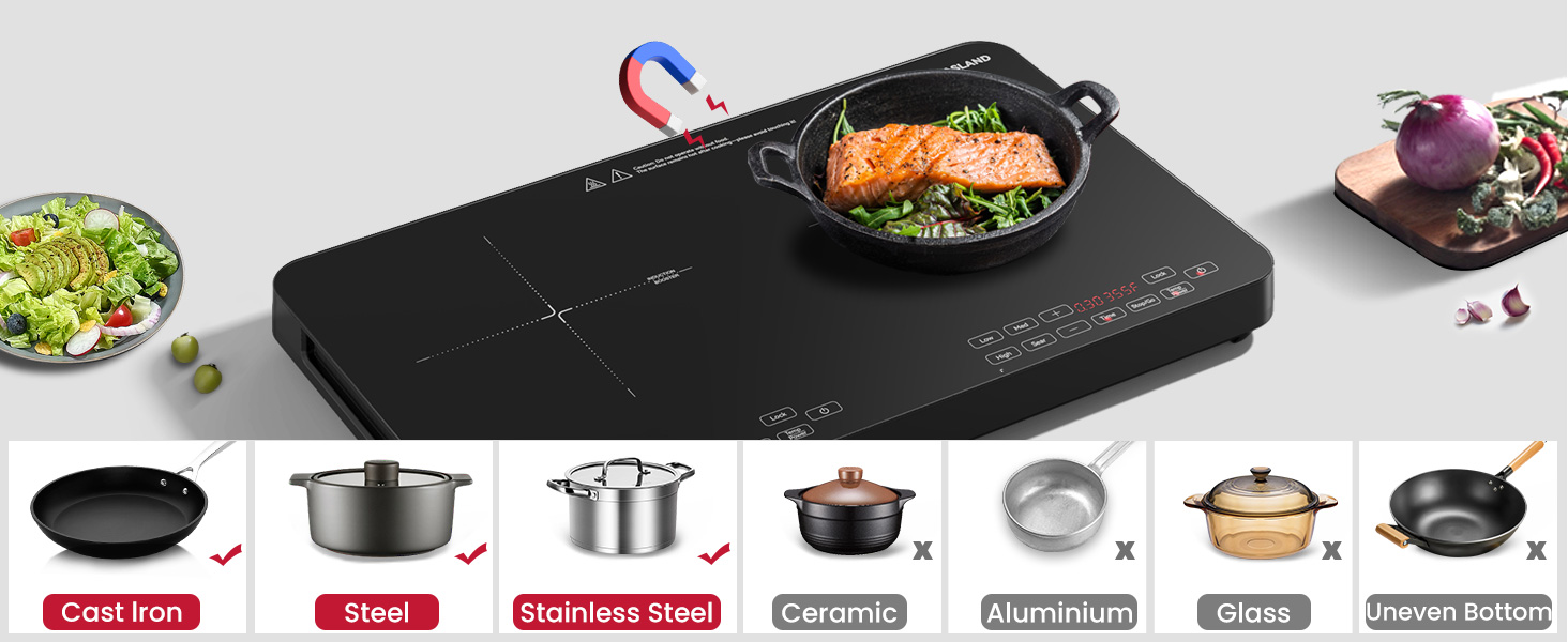 GASLAND SwiftChef Portable Induction Cooktop